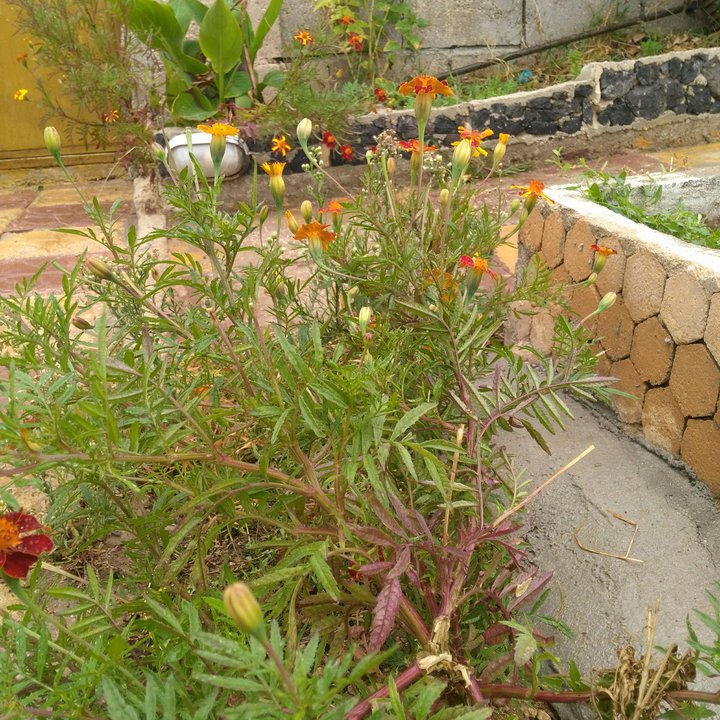 My Crowdsourcing Posts