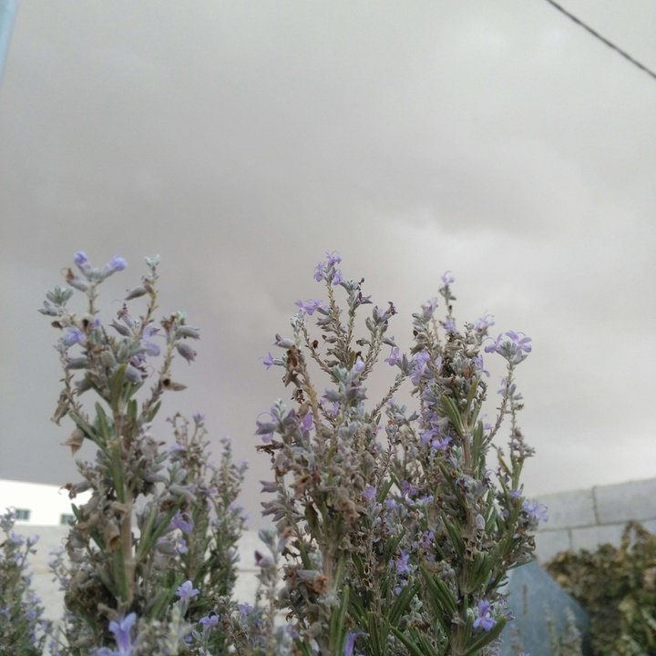 My Crowdsourcing Posts