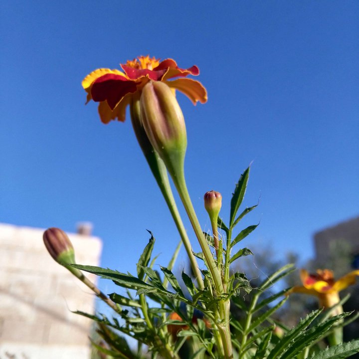 My Crowdsourcing Posts