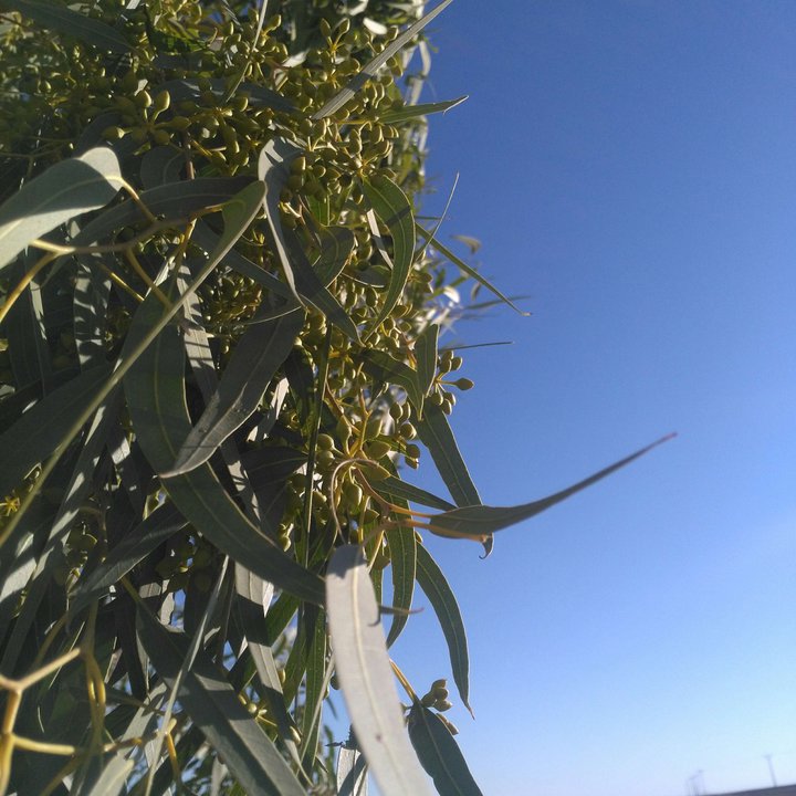 My Crowdsourcing Posts