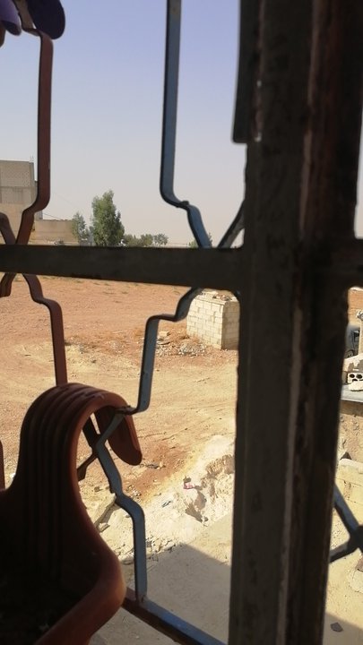 مشاركاتي في أنت الراصد