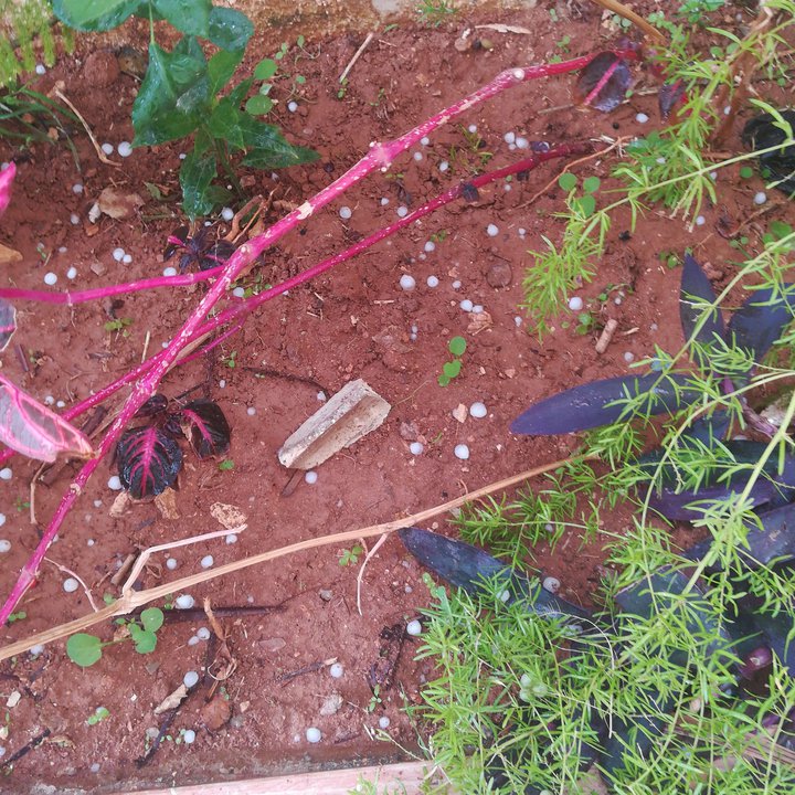 My Crowdsourcing Posts