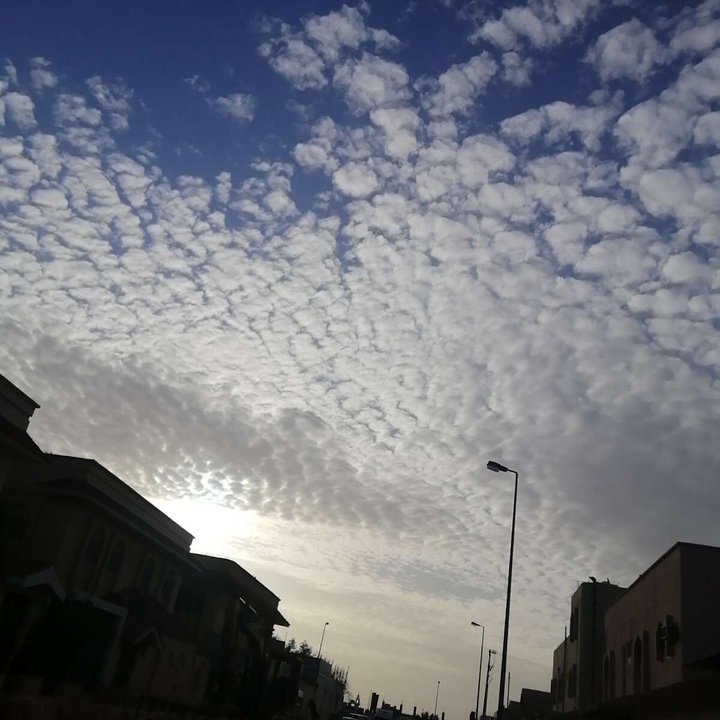 مشاركاتي في أنت الراصد