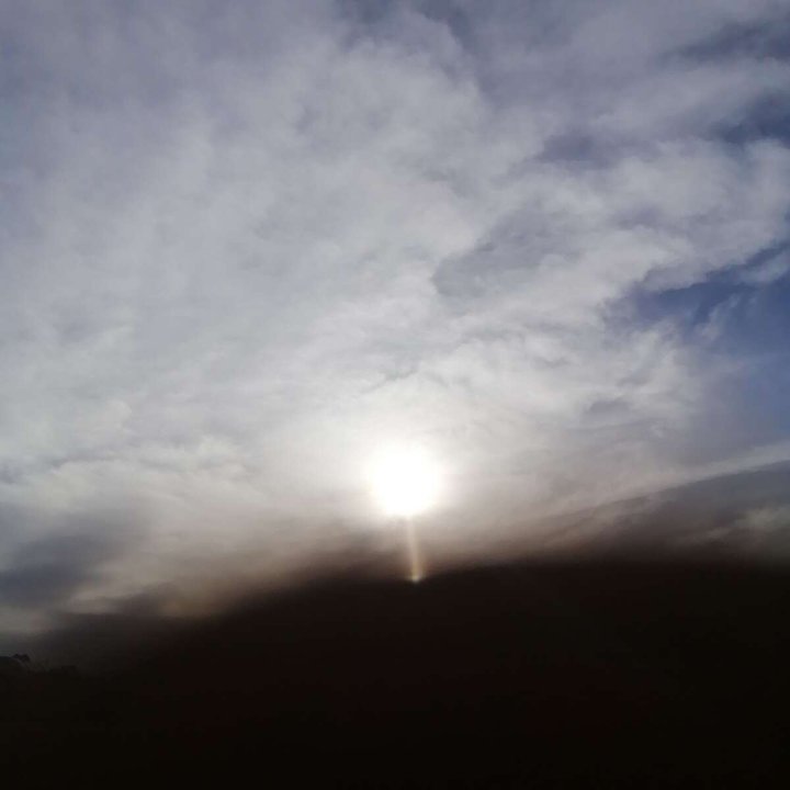 مشاركاتي في أنت الراصد