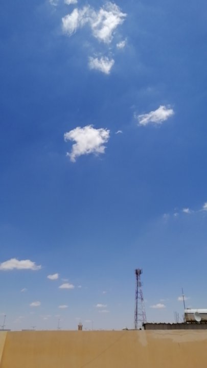 مشاركاتي في أنت الراصد