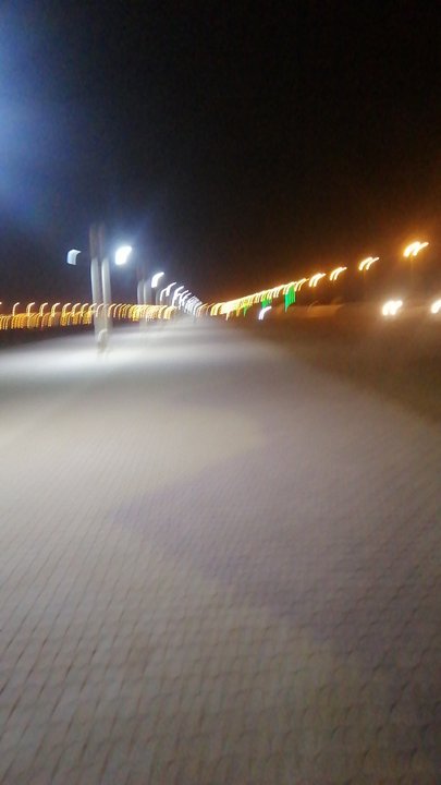 مشاركاتي في أنت الراصد