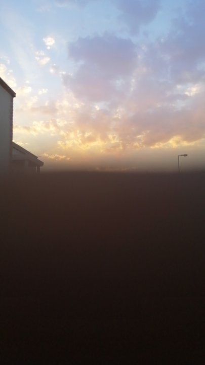 مشاركاتي في أنت الراصد