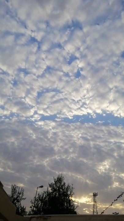 مشاركاتي في أنت الراصد