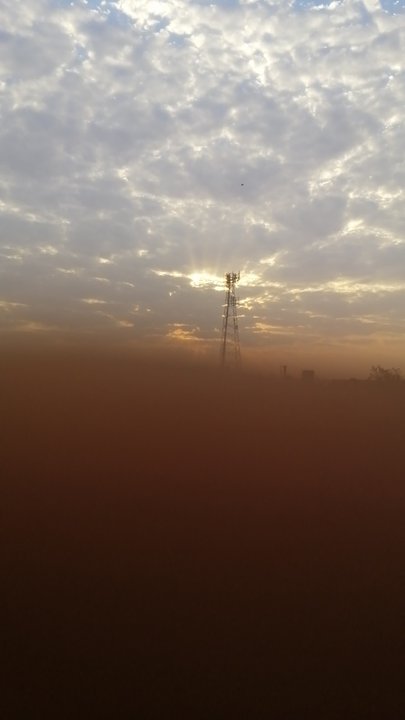 مشاركاتي في أنت الراصد