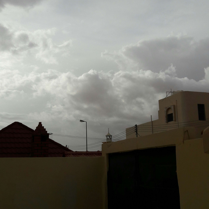 مشاركاتي في أنت الراصد