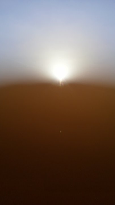 مشاركاتي في أنت الراصد