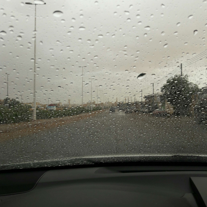 مشاركاتي في أنت الراصد