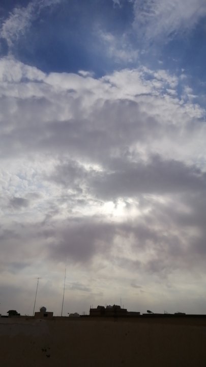 مشاركاتي في أنت الراصد