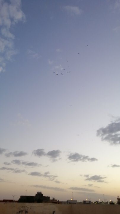 مشاركاتي في أنت الراصد