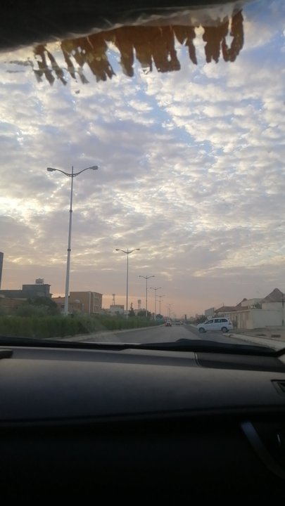 مشاركاتي في أنت الراصد