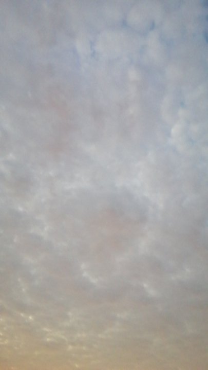 مشاركاتي في أنت الراصد