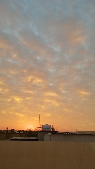 مشاركاتي في أنت الراصد