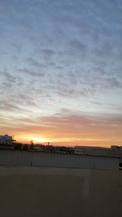 مشاركاتي في أنت الراصد