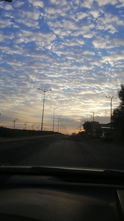 مشاركاتي في أنت الراصد