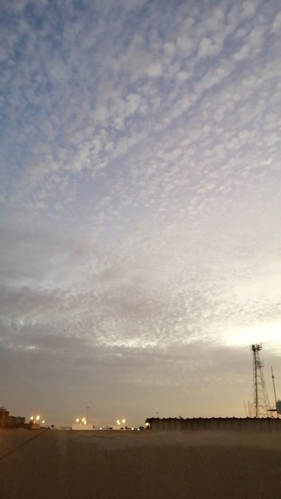 مشاركاتي في أنت الراصد