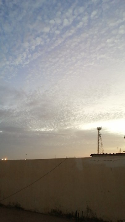 مشاركاتي في أنت الراصد