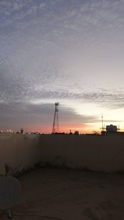 مشاركاتي في أنت الراصد