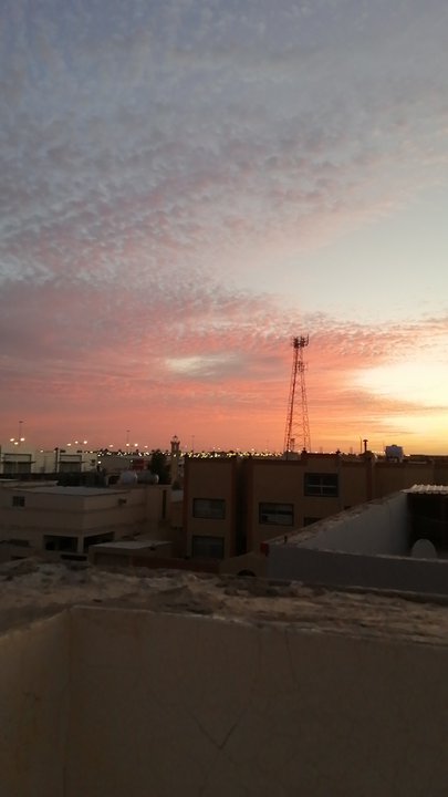 مشاركاتي في أنت الراصد