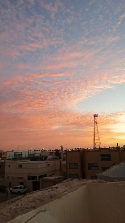 مشاركاتي في أنت الراصد