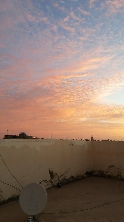 مشاركاتي في أنت الراصد