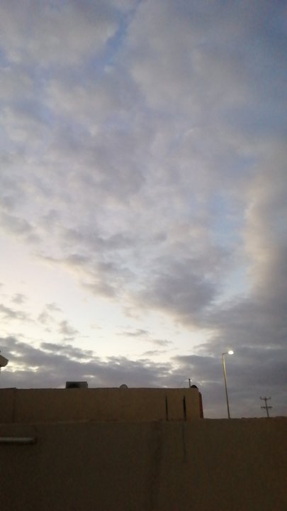 مشاركاتي في أنت الراصد