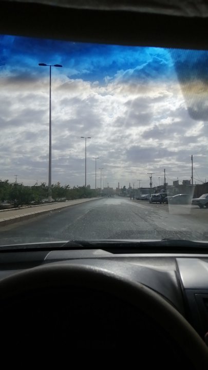 مشاركاتي في أنت الراصد