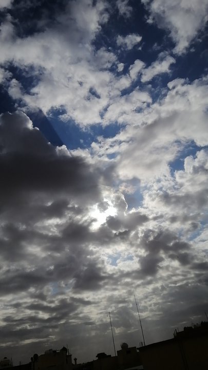 مشاركاتي في أنت الراصد