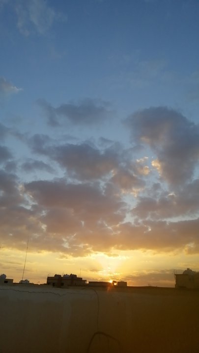 مشاركاتي في أنت الراصد