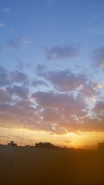 مشاركاتي في أنت الراصد