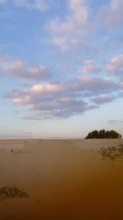 مشاركاتي في أنت الراصد