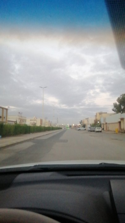 مشاركاتي في أنت الراصد