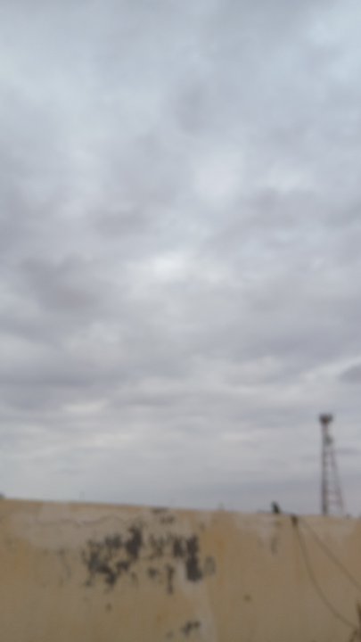 مشاركاتي في أنت الراصد