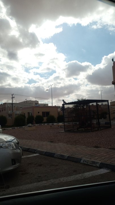 مشاركاتي في أنت الراصد