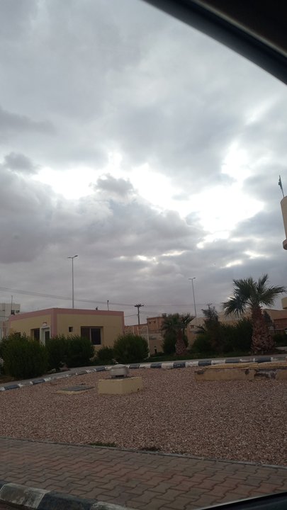 مشاركاتي في أنت الراصد