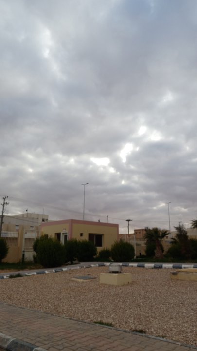 مشاركاتي في أنت الراصد