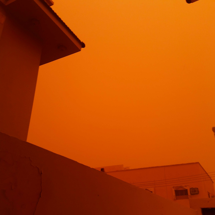 مشاركاتي في أنت الراصد