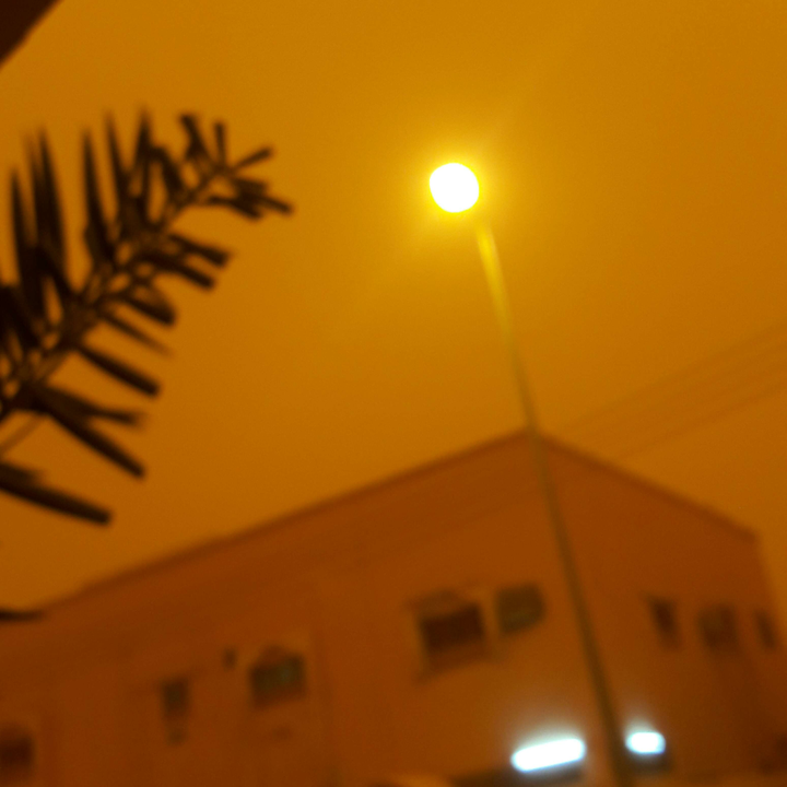 مشاركاتي في أنت الراصد