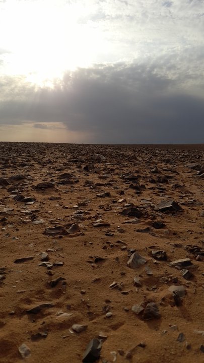 مشاركاتي في أنت الراصد