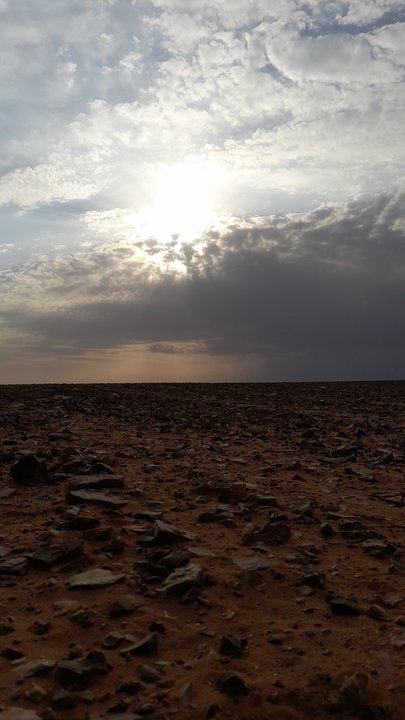 مشاركاتي في أنت الراصد