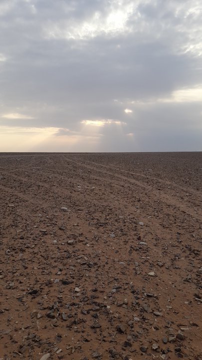 مشاركاتي في أنت الراصد