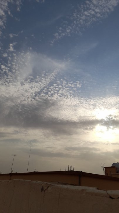 مشاركاتي في أنت الراصد