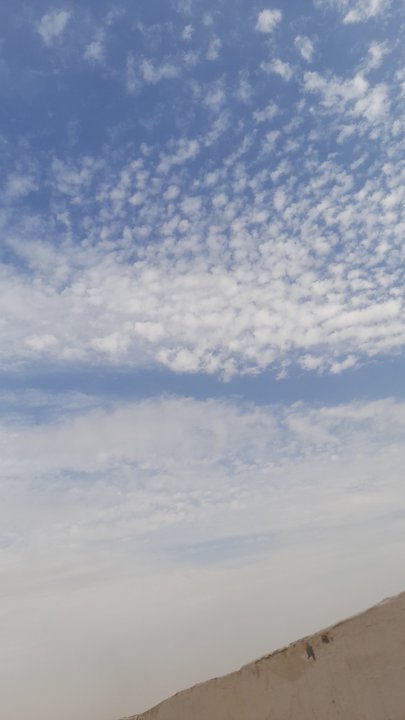 مشاركاتي في أنت الراصد