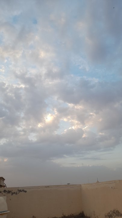 مشاركاتي في أنت الراصد