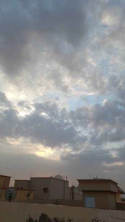 مشاركاتي في أنت الراصد