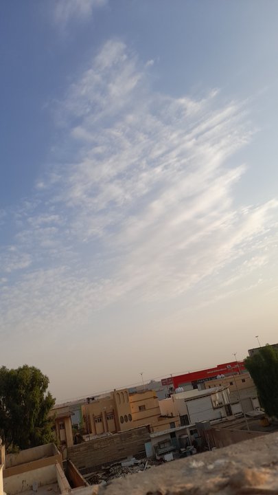 مشاركاتي في أنت الراصد